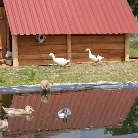 Holiday home Ferienhaus Fur Bis Zu 4 Personen Zur Seeseite - #125256 Grobern